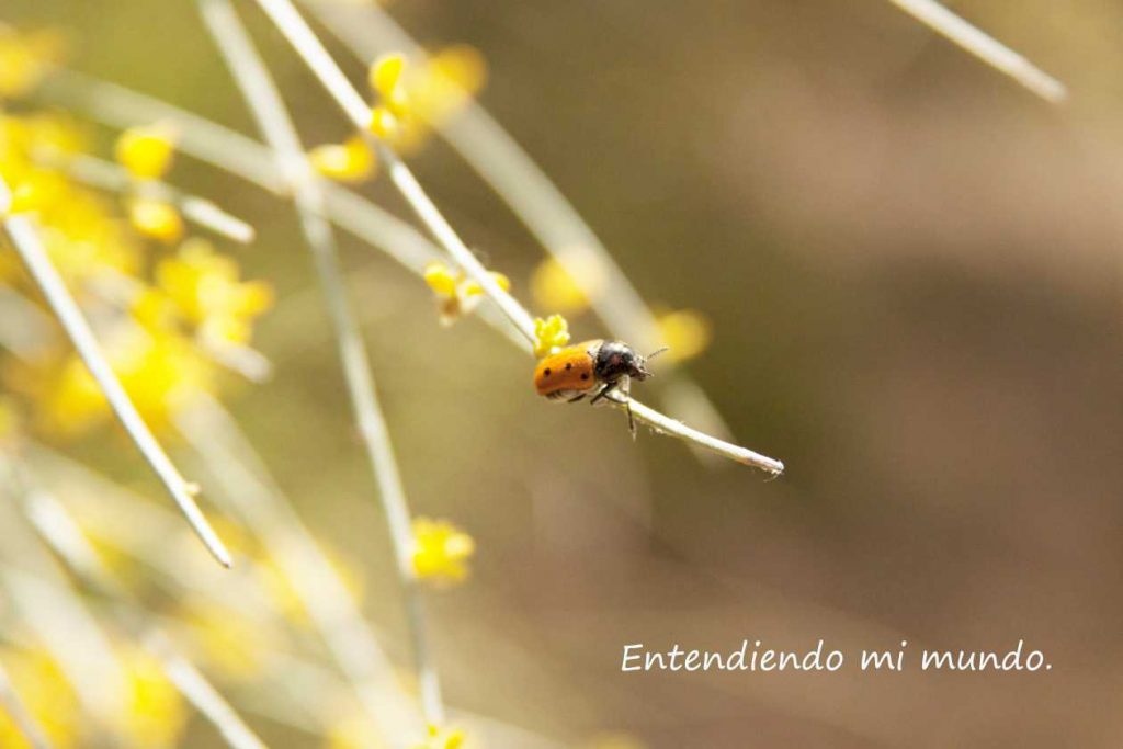 Taller de arte y filosofía infantil